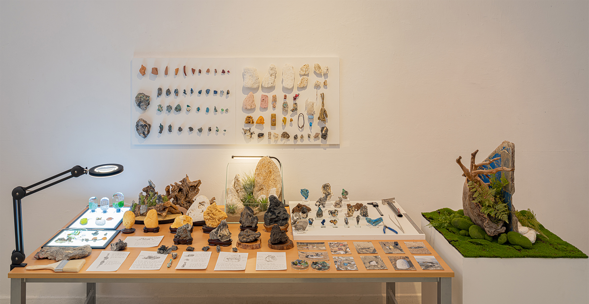 Homo Plascticus Project 이미지