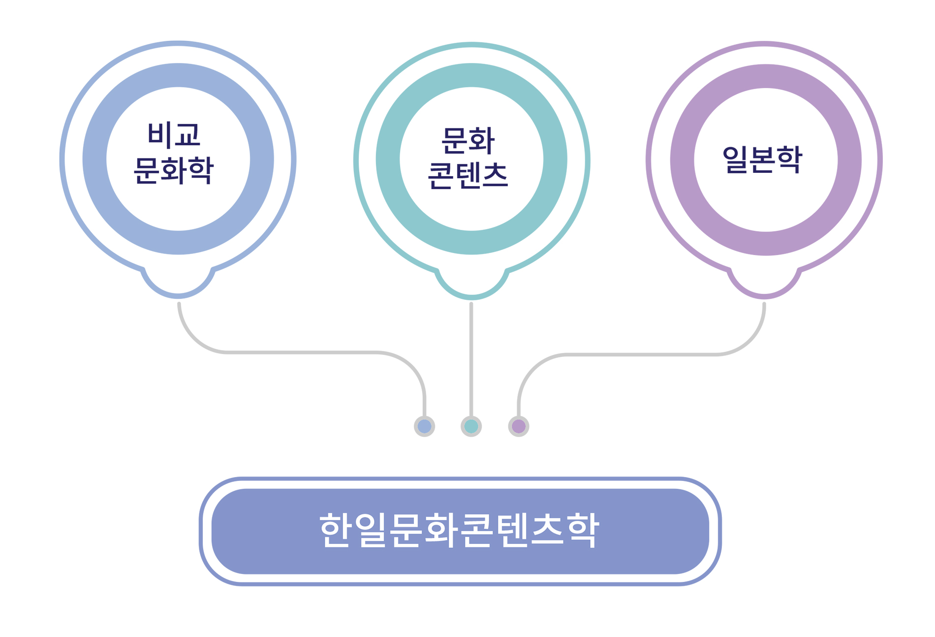 한일문화콘텐츠학은 일본학(언어, 문학, 문화, 정치 등), 비교문화학, 문화콘텐츠학을 접목시킨 학문